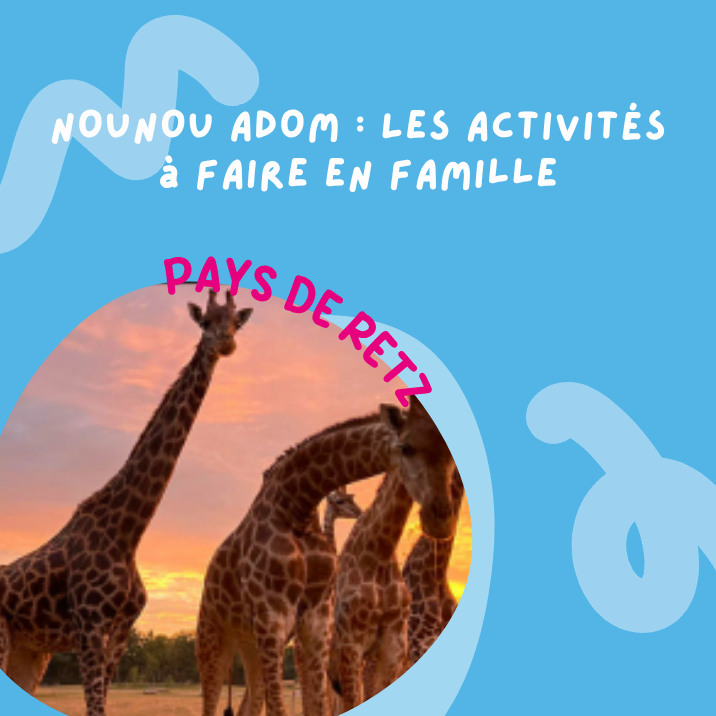 NOUNOU ADOM : 5 activités à faire dans le Pays de Retz NOUNOU ADOM : 5 activités à faire dans le Pays de Retz